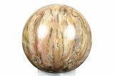 Colorful Petrified Wood (Araucaria) Sphere - Madagascar #245514-1